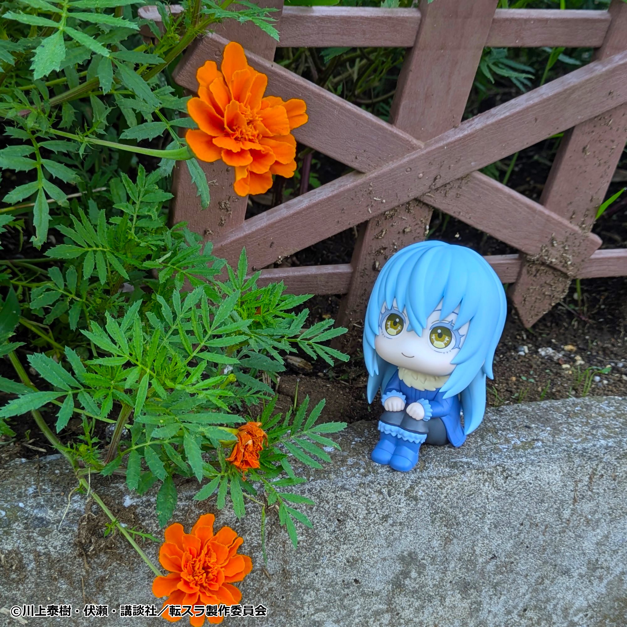 リムル (8).jpg
